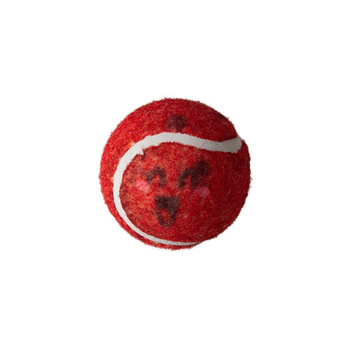 Behind Mars 2pk Tennis Squeaky Balls