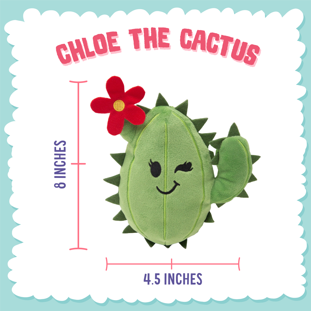 Chloe the Cactus