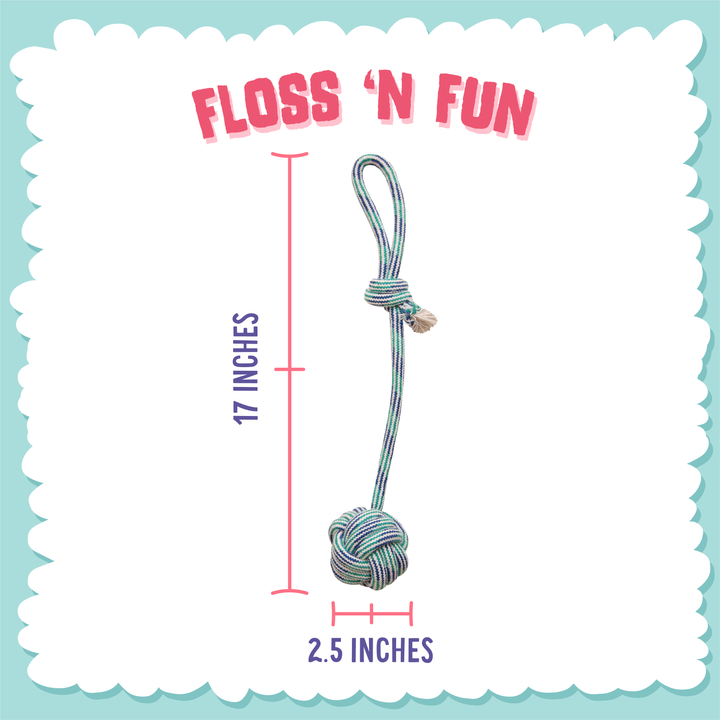 Floss 'N Fun