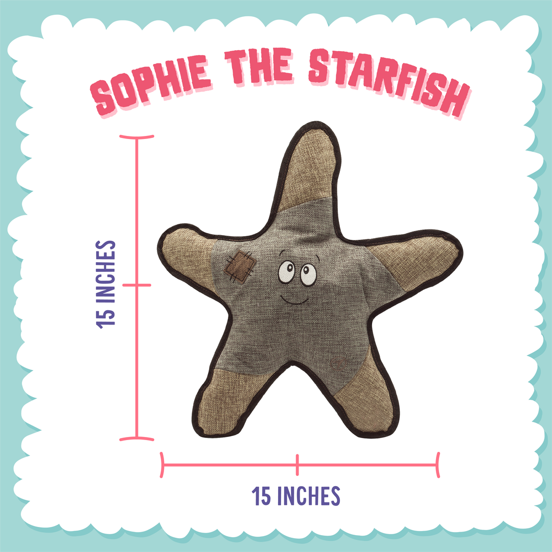 Sophie the Starfish