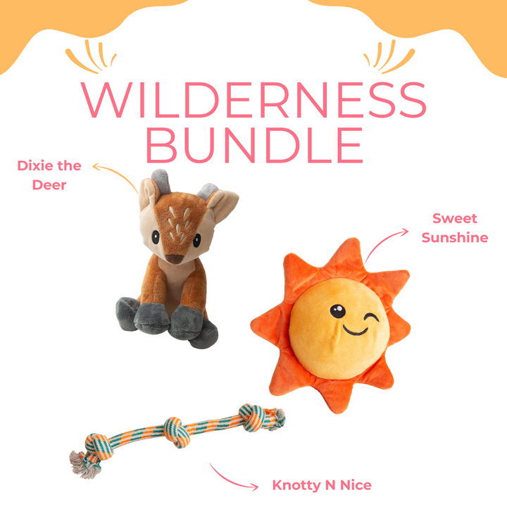 Wilderness Bundle