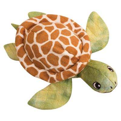 Shelldon the Turtle