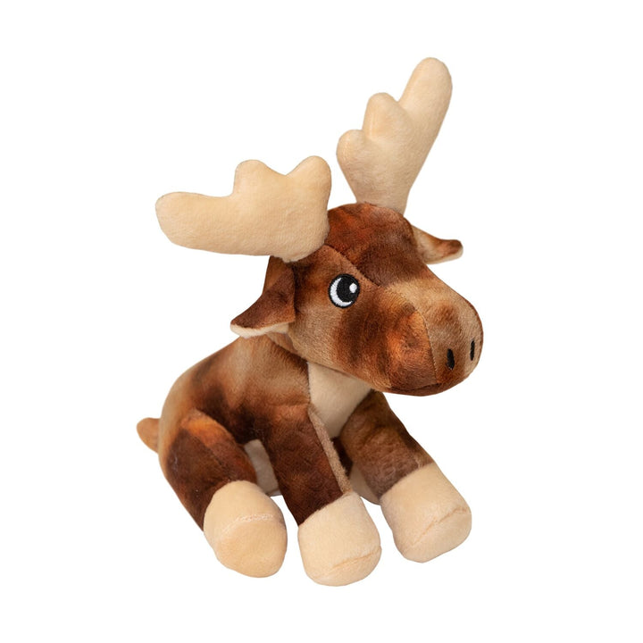 Marty the Moose